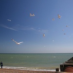 Na pláži v Hastings