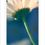 *** Ranní koupel ***