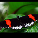 .. Priprava ke startu ..