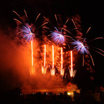 Rozkvetlá kytice se otáčí za sluncem