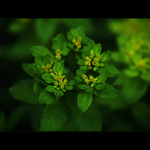 ***KRUH SE UZAVÍRÁ***