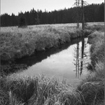 Šumná Šumava...........     U Rybárny