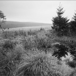 Šumná Šumava...........   Pod Hadím Vrchem