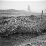 Šumná Šumava...........   Hamerský potok