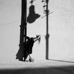 good morning sunshine