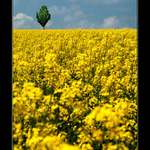 to by měl Bursík radost...