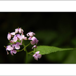 Bývala som krajšia...