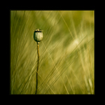 Rozhledna pro nejmenší..