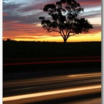 Podtržená západovka