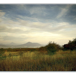 ..z toulek po Čechách..