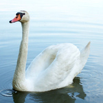 pózování po večeři :)