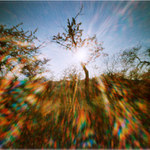 Sluneční vichřice...