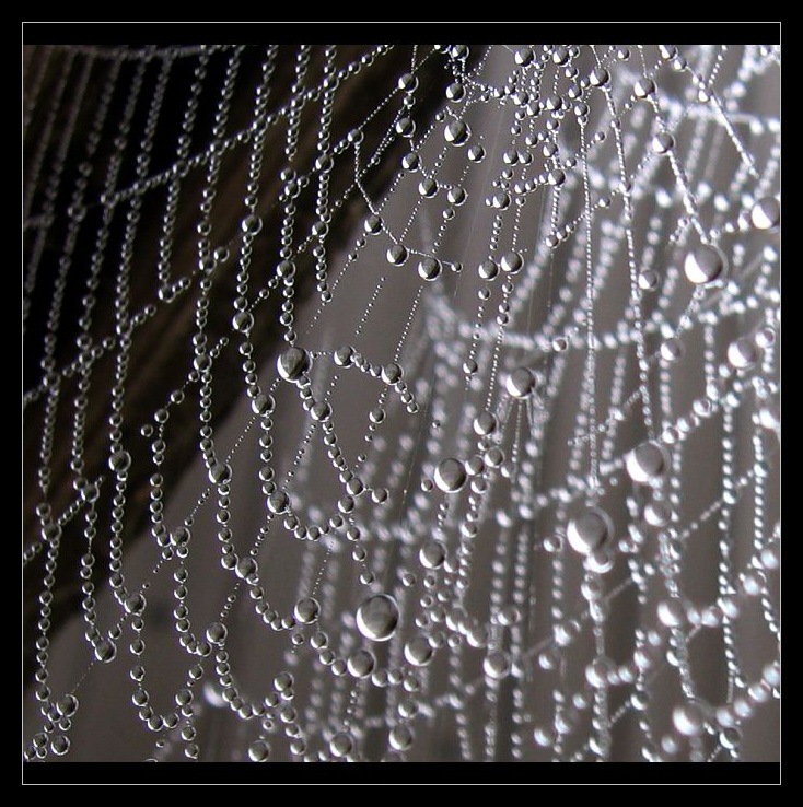 Pavoučí kouzlo III.