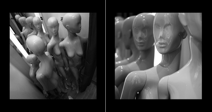 Bodies