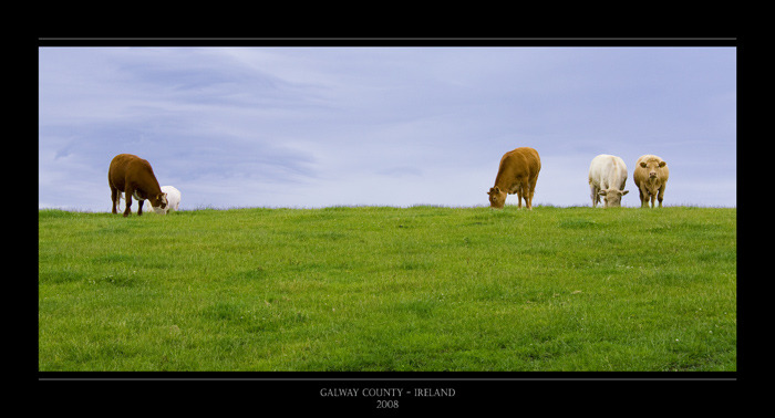 Galway County