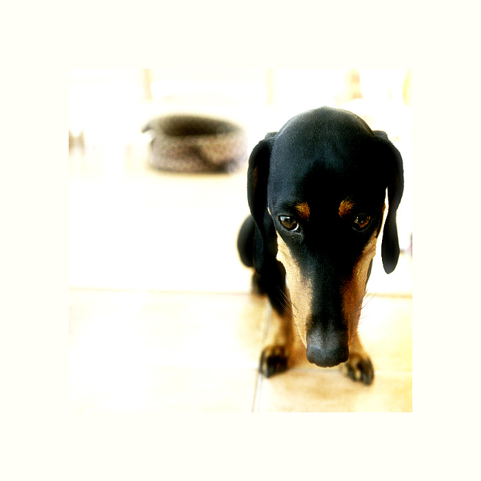sep