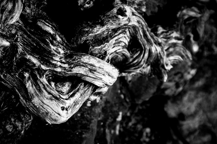 magic´n´wood