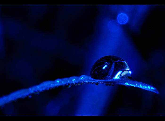 Ve snech ukrytá 3 ...