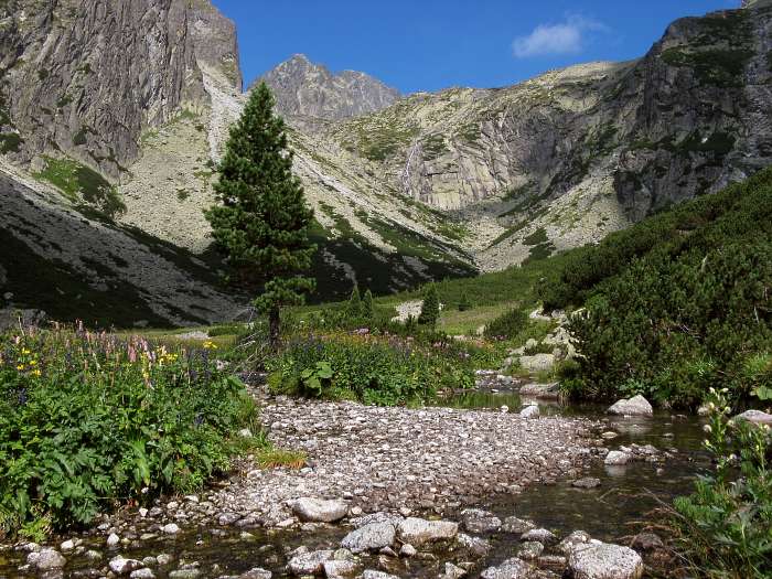 Vysoké Tatry
