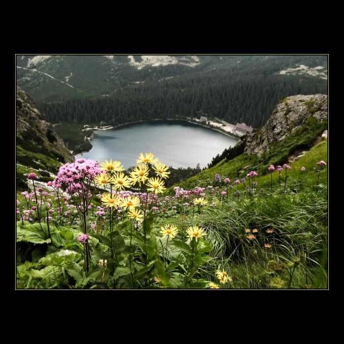 Popradské pleso