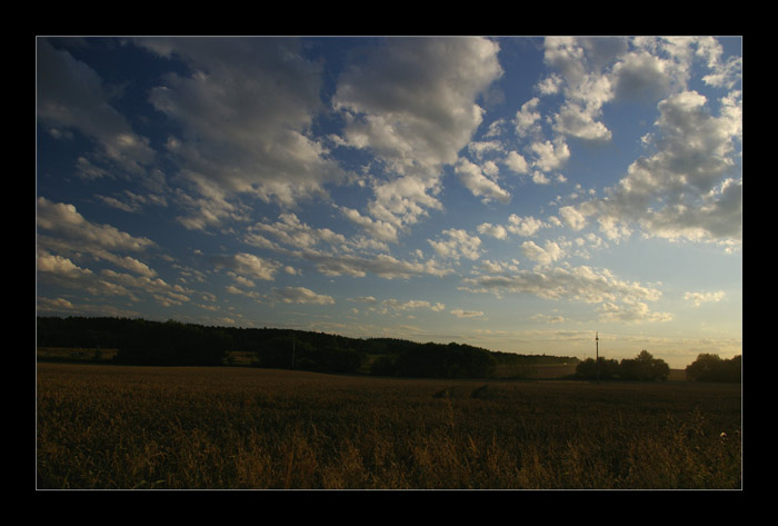 Zemědělský jih I.