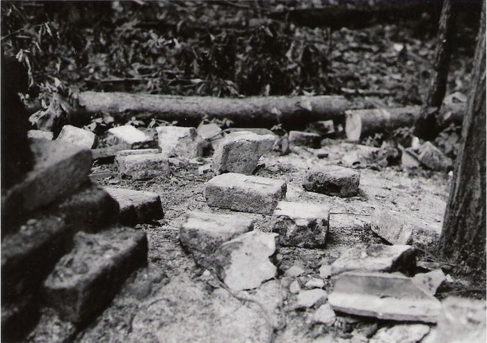 Pozůstatek vojenského objektu v lese...