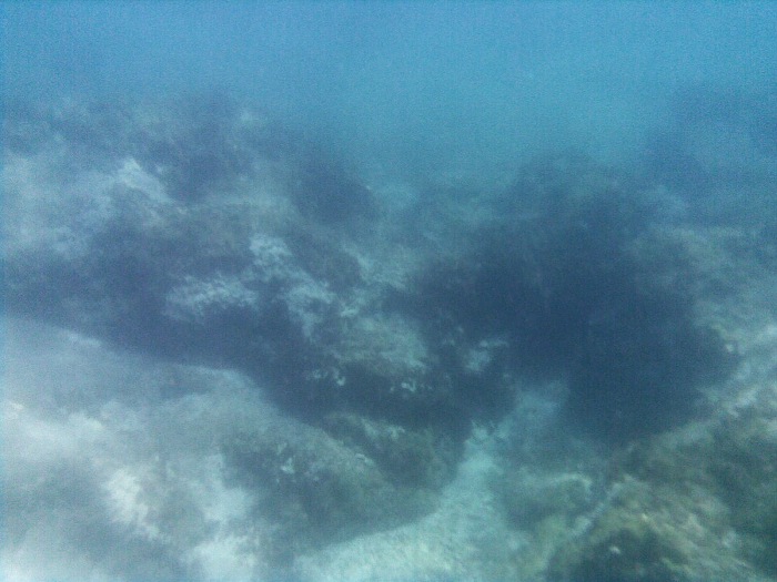 Pod hladinou