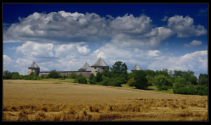 Bzovík