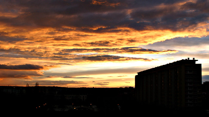 PanelPicture