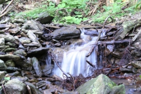Šumava