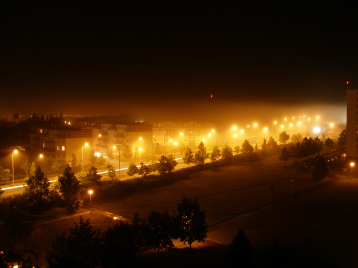 The Night