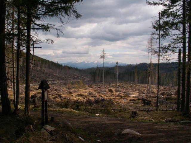 tatry
