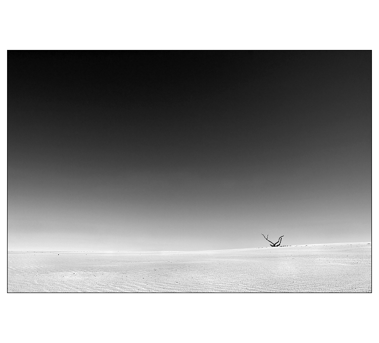 ~ Solitude ~