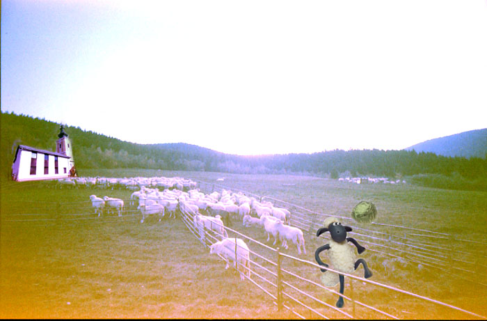 Pozdní idylické dopoledne v neděli.