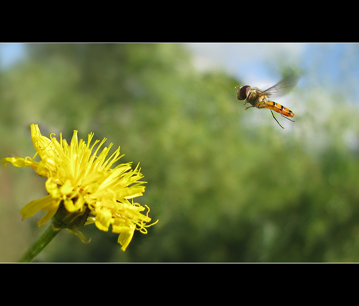 Landing
