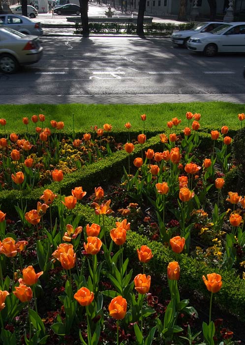 Dva svety jedno svetlo