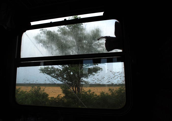 train