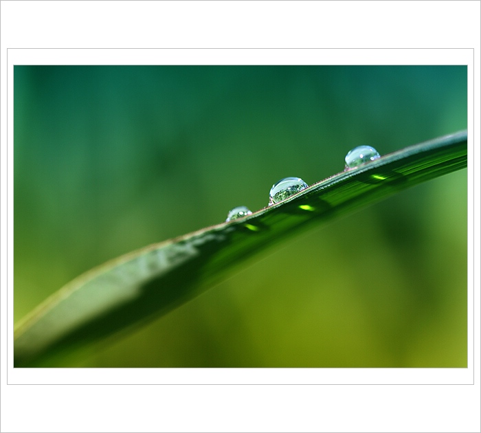 *** Prostřední ***