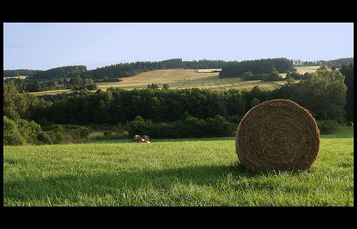 Balík kam se podívám