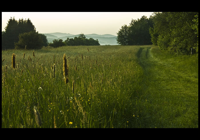 Šumavské ráno