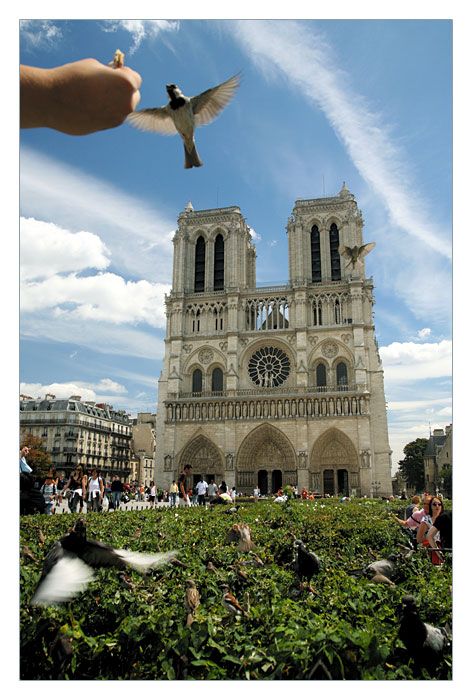 Notre Dame, Paris