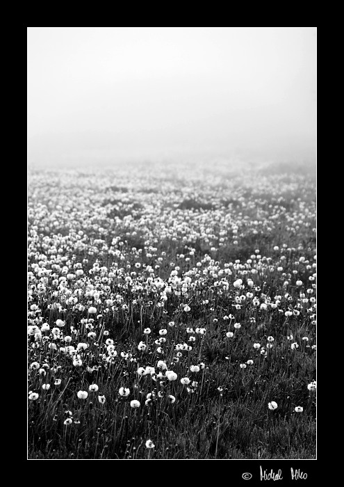 Ranní rozjímání II