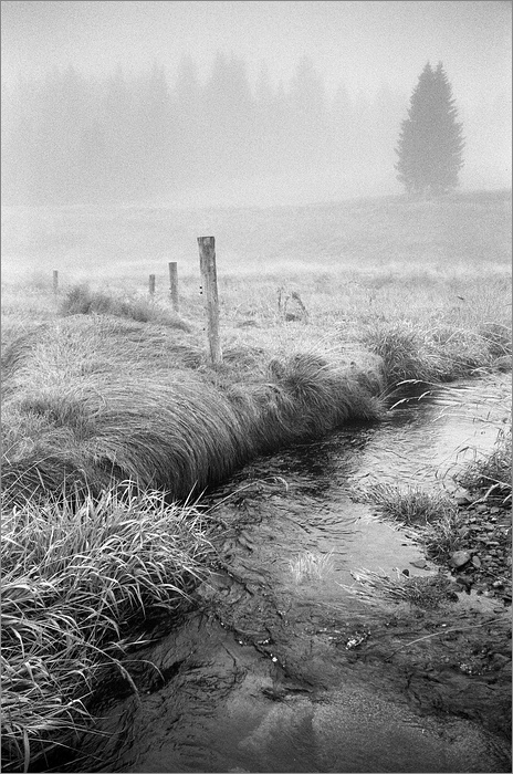 Šumná Šumava........   Hamerský