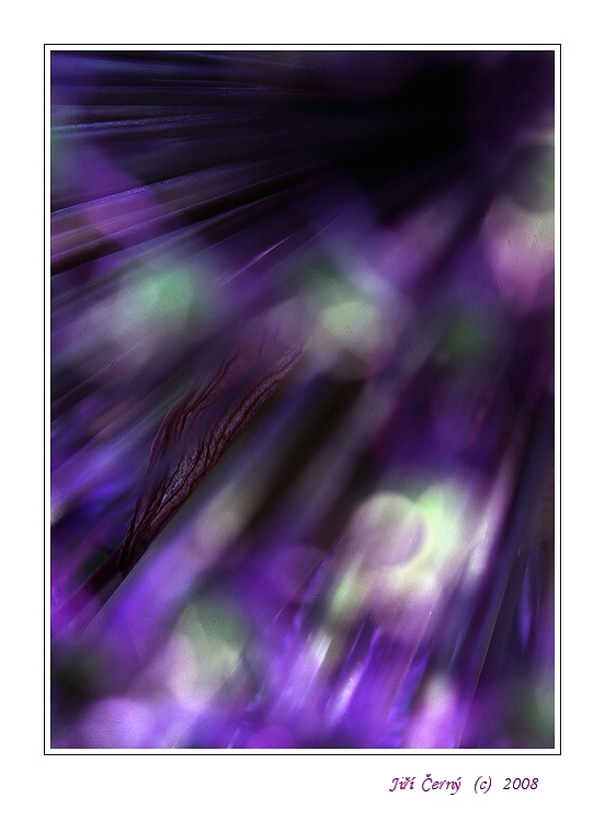 Ztracený mezi svými....