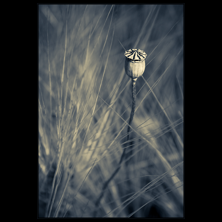 Rozhledna pro nejmenší.. ll