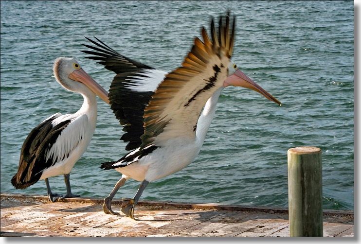 Těsně před skokem