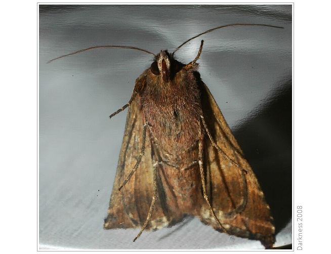 Už ti nebudu strašit manželku... Slibuju