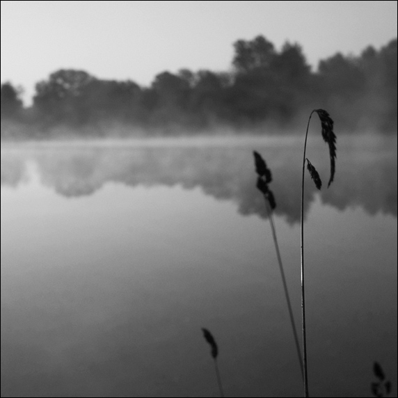 ..odlesk...