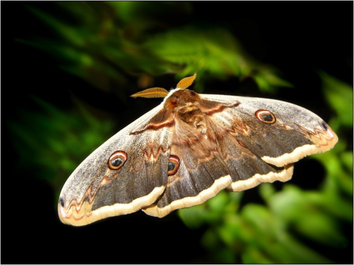 teplo, že se ani lítat nechce