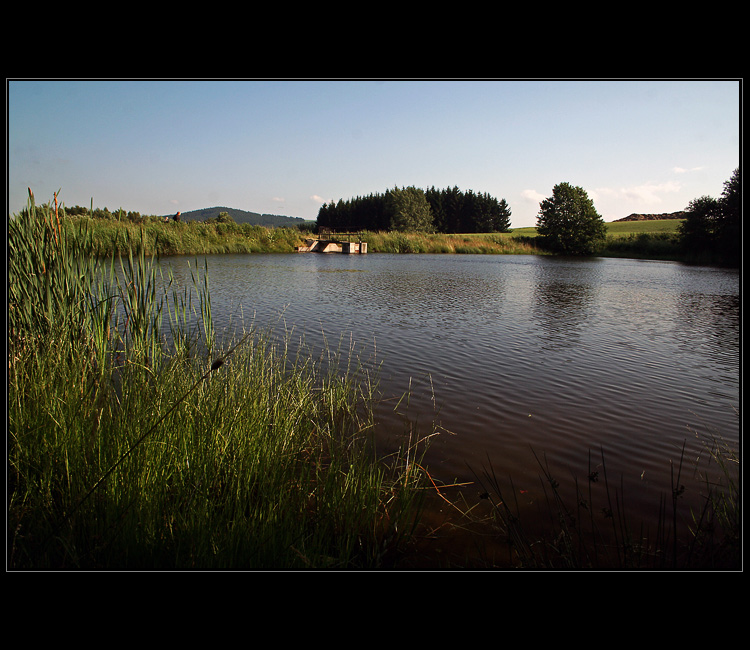 Podvečer na rybníku